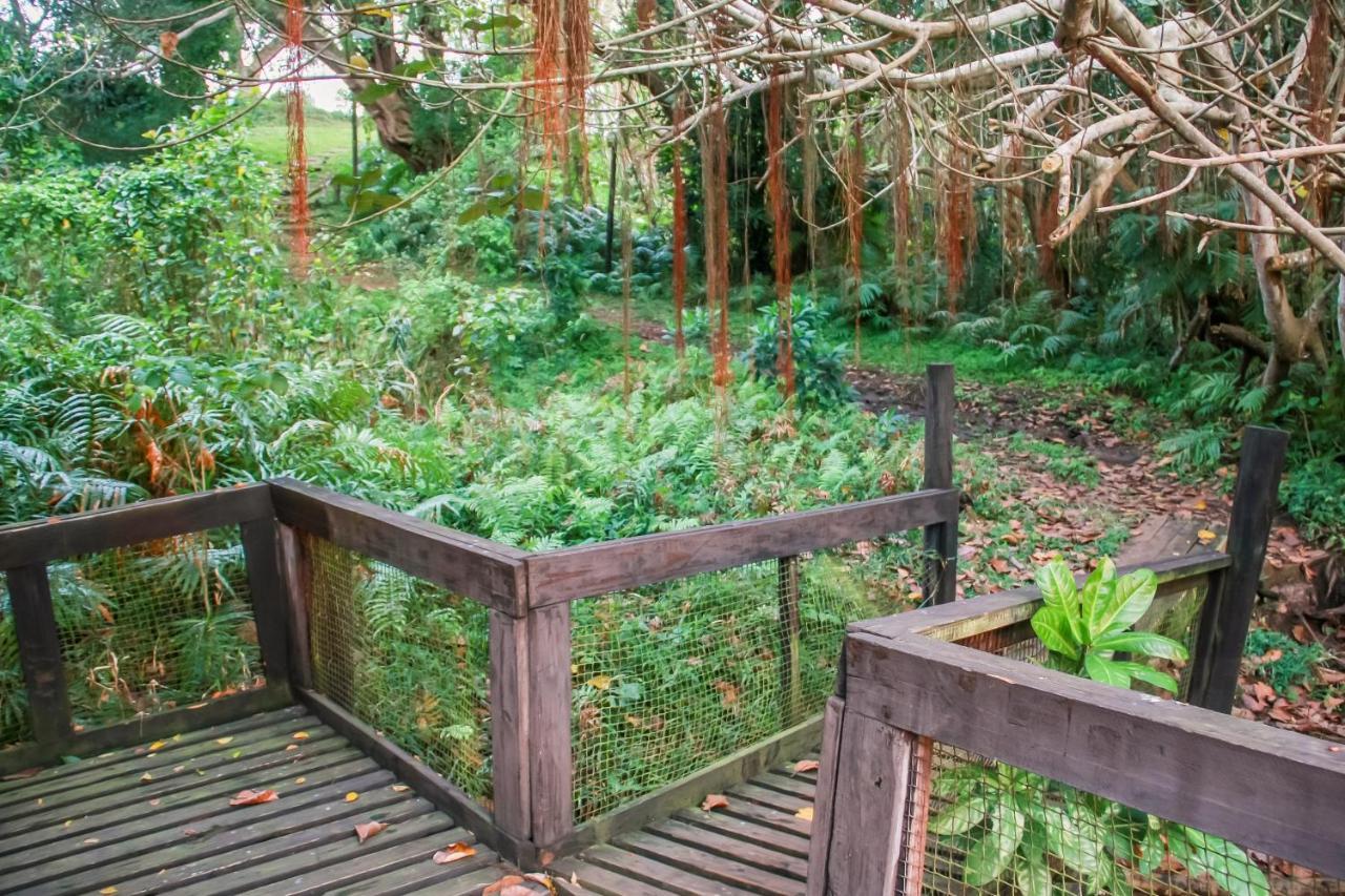 Ferienwohnung 18 The Bridge, Saint Lucia Estuary Exterior foto